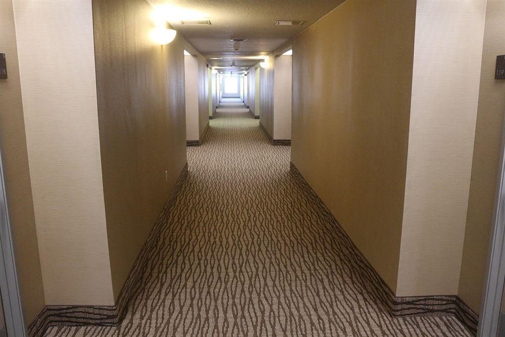 Comfort Suites New Braunfels Exteriér fotografie