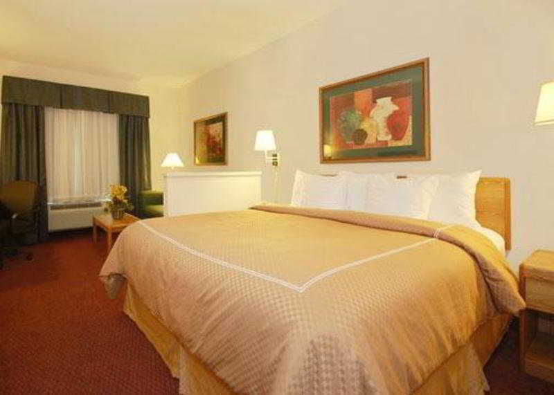 Comfort Suites New Braunfels Pokoj fotografie