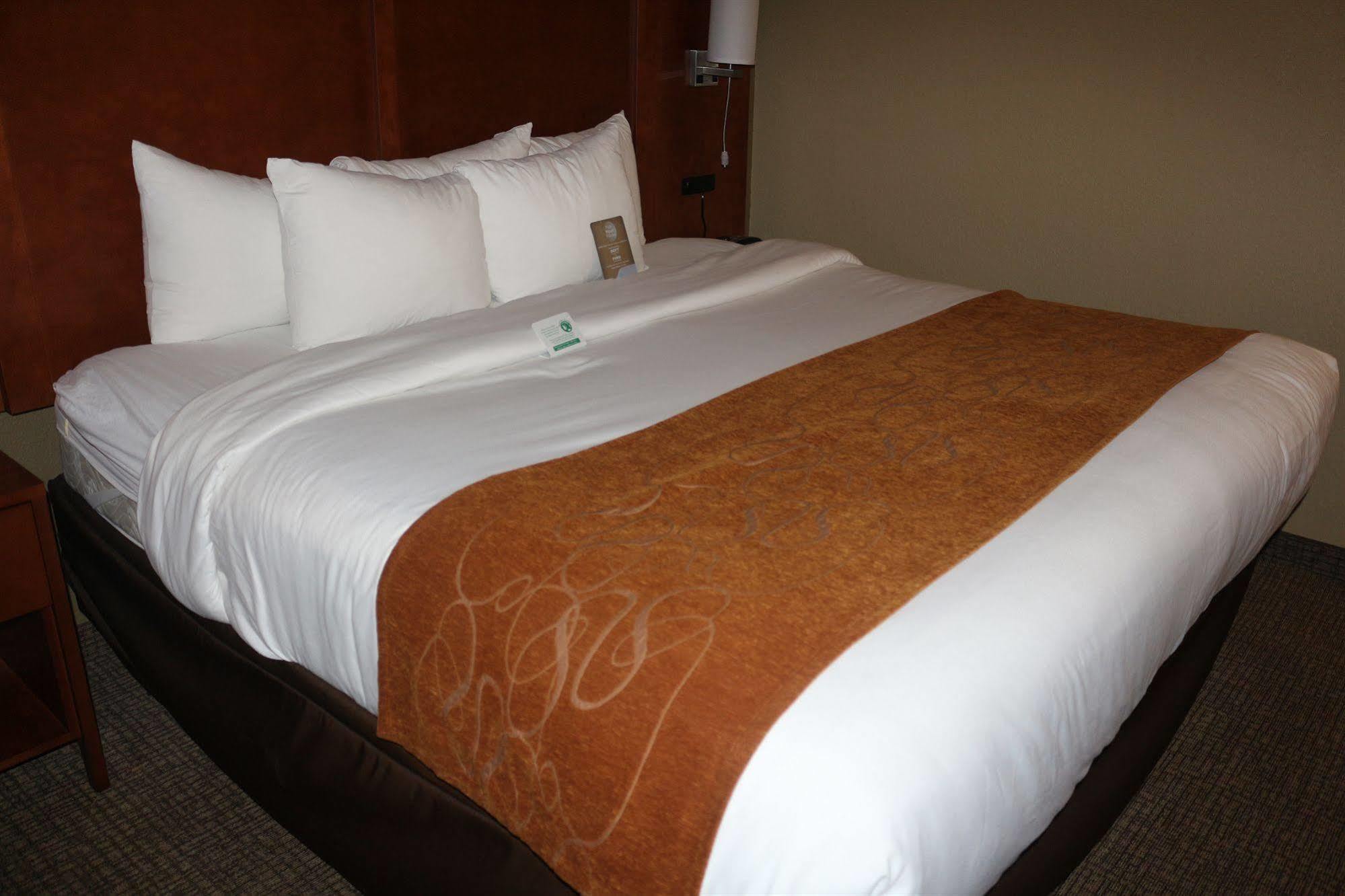 Comfort Suites New Braunfels Exteriér fotografie