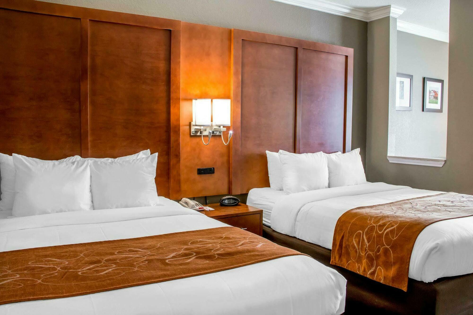 Comfort Suites New Braunfels Exteriér fotografie